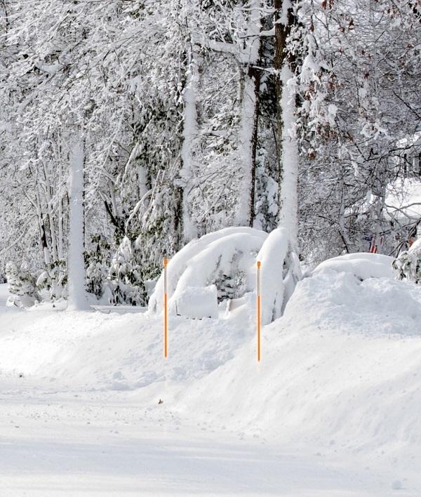 6 PACK, 46" Driveway Marker Orange 1/4" Shaft