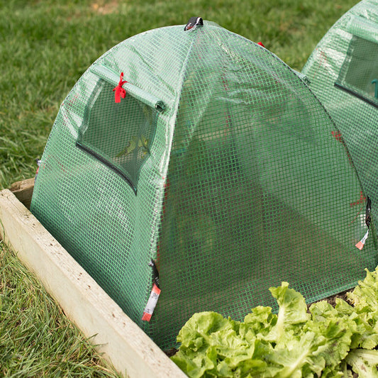 Green Houses