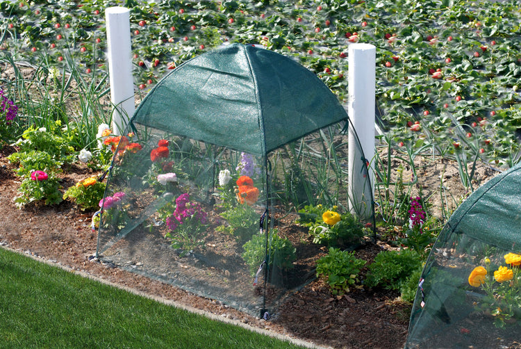 Bug'n Shade Cover 28" x 28" x 30", 2-Pack