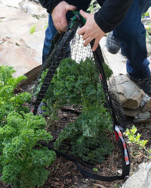 Folding Pest Control Cover 25" x 25" x 27"