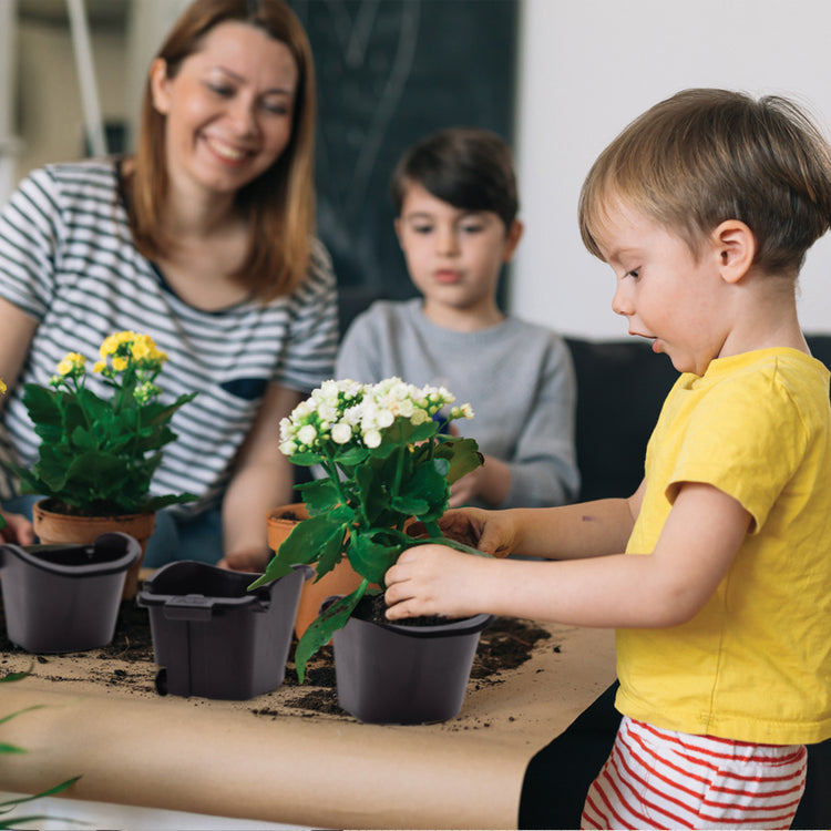 Mobile Vertical Garden