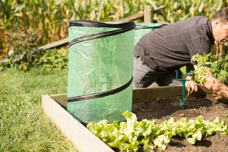 2-PACK, POP UP Greenhouse Cover 24" x 16.5"